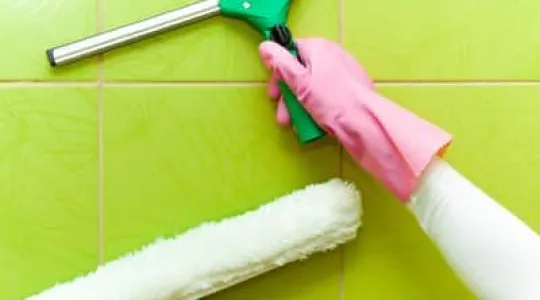 Shower squeegee