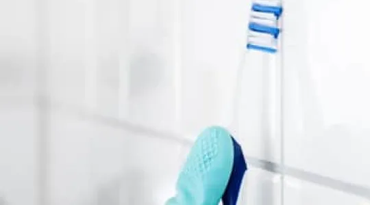 grout cleaning tool
