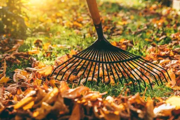 Rake leaves in autumn | Merry Maids