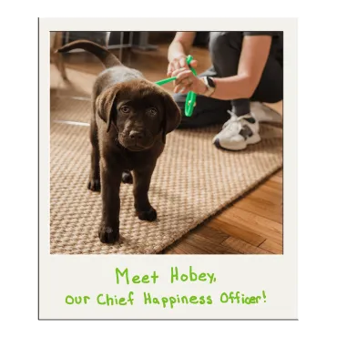 Polaroid of Hobey, the Chief Happiness Officer puppy at Merry Maids of Lancaster County.