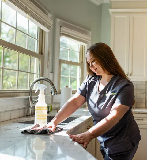 Team Member Cleaning Sink